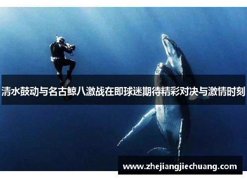 清水鼓动与名古鲸八激战在即球迷期待精彩对决与激情时刻
