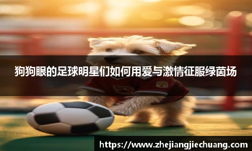 狗狗眼的足球明星们如何用爱与激情征服绿茵场